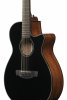 Ibanez AEG-5012-BKH Gitara elektroakustyczna  12 strunowa